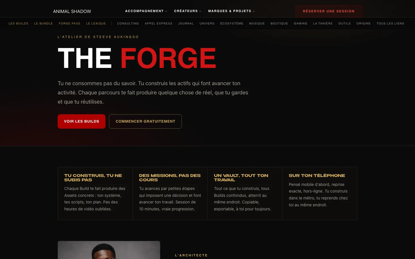 Page d'accueil de THE FORGE, telle qu'elle est en ligne